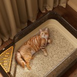 猫砂盆厂家-除臭可拆卸