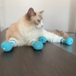 Cat Shoes Supplier - Silicone Adjustable Protective