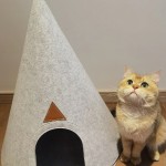 豪华猫床厂家-羊毛屋折叠帐篷定制