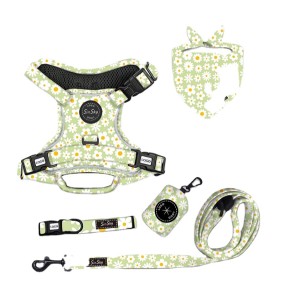 Pet Harness Combo Factory - OEM 7-in-1 Nylon No-Pull Design