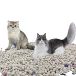 膨润土猫砂批发-无尘易铲猫砂定制