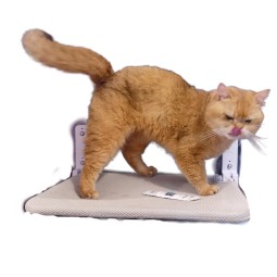 猫窗边吊床厂家-舒适窗边栖息垫定制