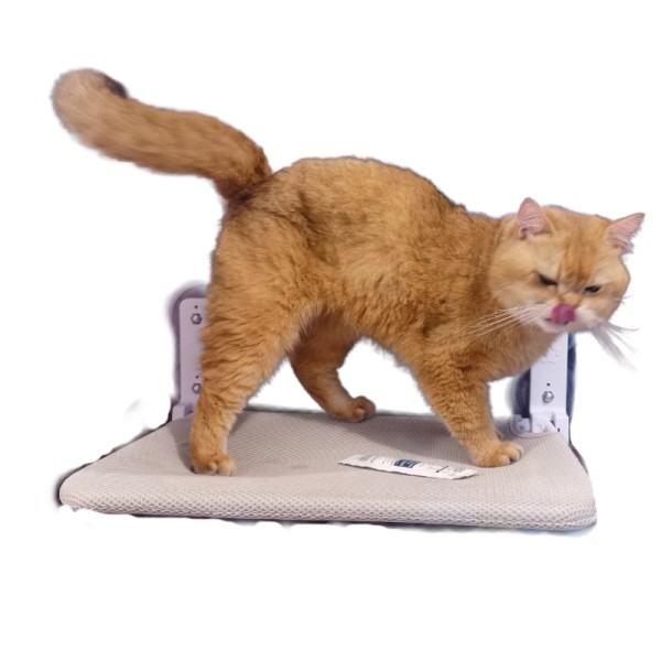 猫窗边吊床厂家-舒适窗边栖息垫定制