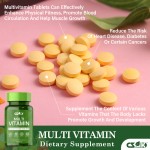 Multivitamin Tablets Manufacturer - GMP Certified Vegan Vegetarian for Daily Energy Support