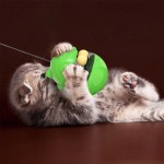 猫益智玩具生产商-互动游戏宠物玩具