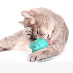 小龙虾猫玩具厂家-鱼形咀嚼玩具定制