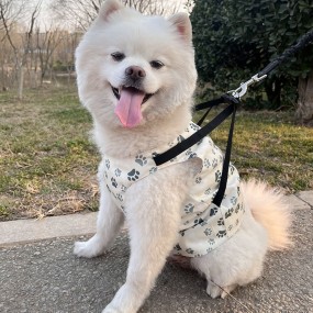 Dog Cooling Vest Factory - OEM 5-in-1 Evaporative Ice Jacket