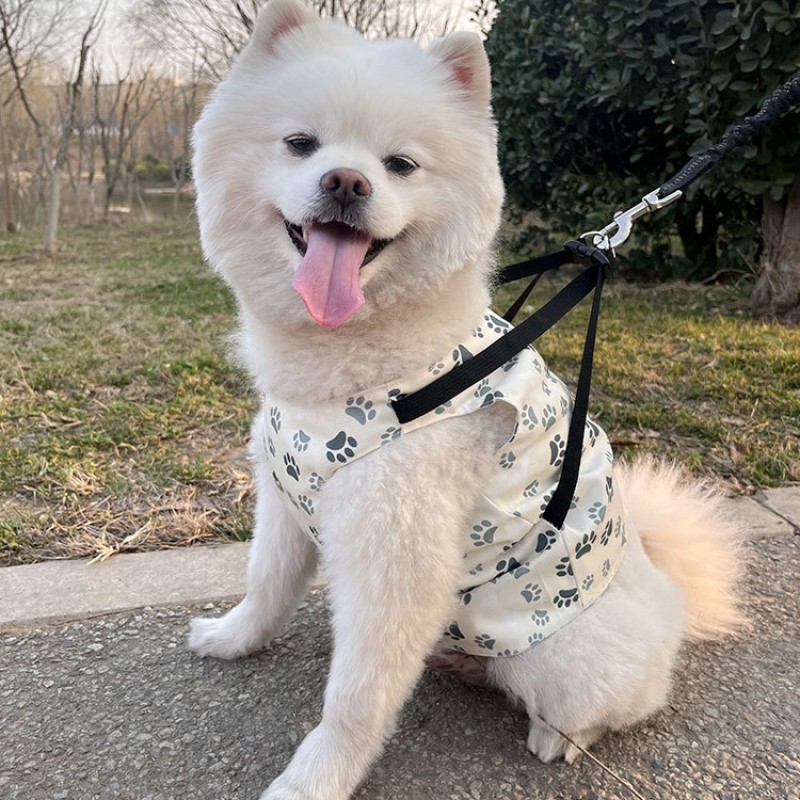 Dog Cooling Vest Factory - OEM 5-in-1 Evaporative Ice Jacket