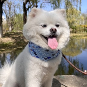 Pet Bandana Manufacturer - OEM Cooling Gel Ice Neck Wrap