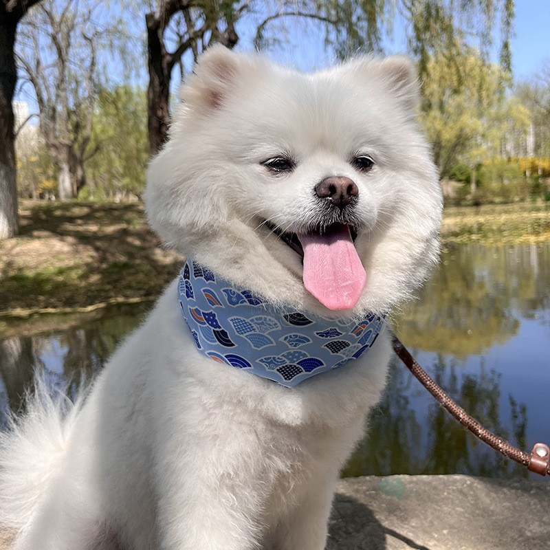 Pet Bandana Manufacturer - OEM Cooling Gel Ice Neck Wrap