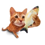 电动鱼猫玩具厂家- USB充电摆动玩具