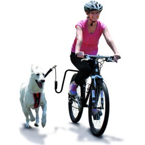 Bike Dog Leash Manufacturer - OEM Outdoor Training Walker