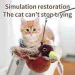 互动猫玩具厂家-仿真鸟类逗猫用品定制