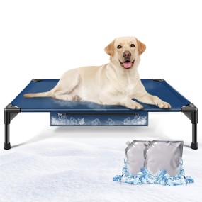 Elevated Dog Bed Manufacturer - OEM Indoor Instant Cooling