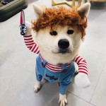 宠物万圣节服装生产商-鬼娃设计师款