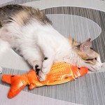 电动鱼猫玩具厂家- USB充电摆动玩具