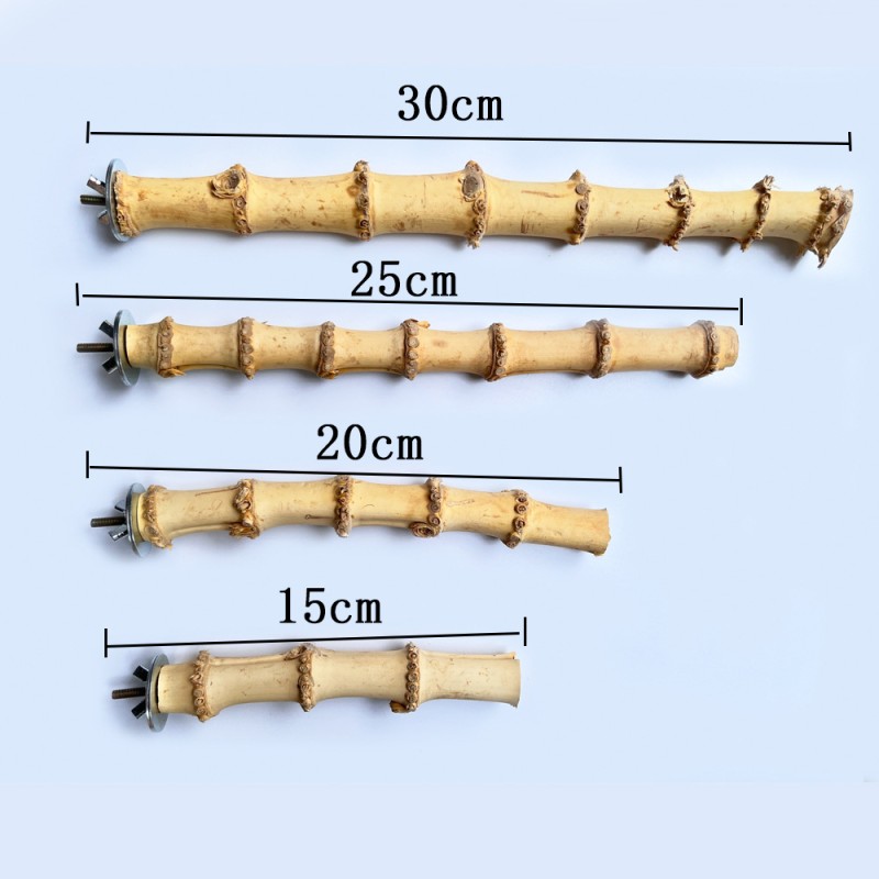 Bamboo Station Sticks Factory - Teeth Cleaning Decor