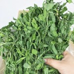 有机干草厂家-苜蓿兔仓鼠用