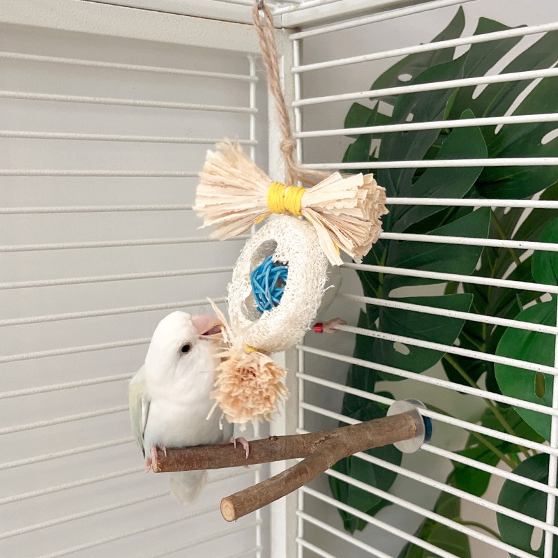 Wooden Chew Toys Manufacturer - Straw Rope Novelty