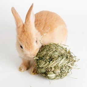 Woven Grass Balls Manufacturer - High-protein Timothy