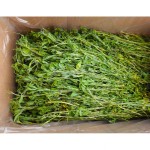有机干草厂家-苜蓿兔仓鼠用