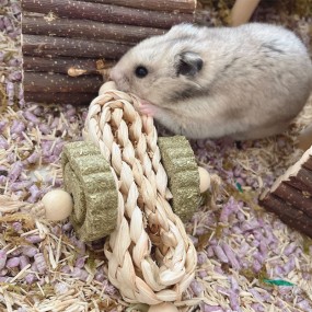 Hamster Chew Sticks Manufacturer - Natural Molar Small