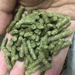 提摩西草棒厂家-干粮小动物用