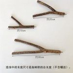 木质棒栖木厂家-天然仓鼠用