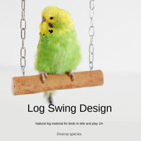 Parrot Table Stands Supplier - Wood Swing Training