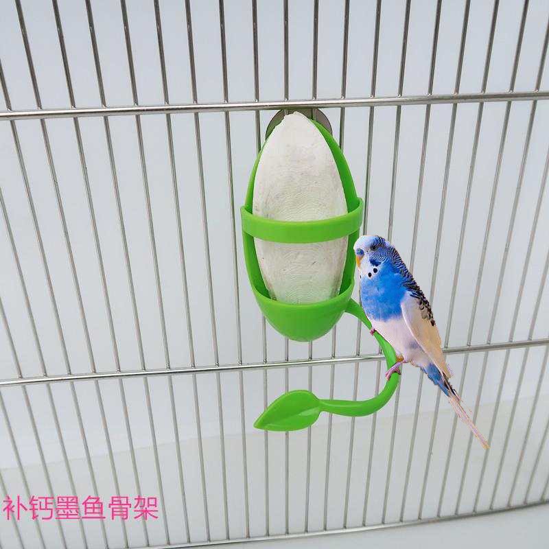 Parrot Feeders Manufacturer - Plastic Standing Rack