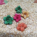 提摩西胡萝卜玩具供应商-天然健康食品