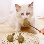 兔子咬胶玩具供应商-草球环保款