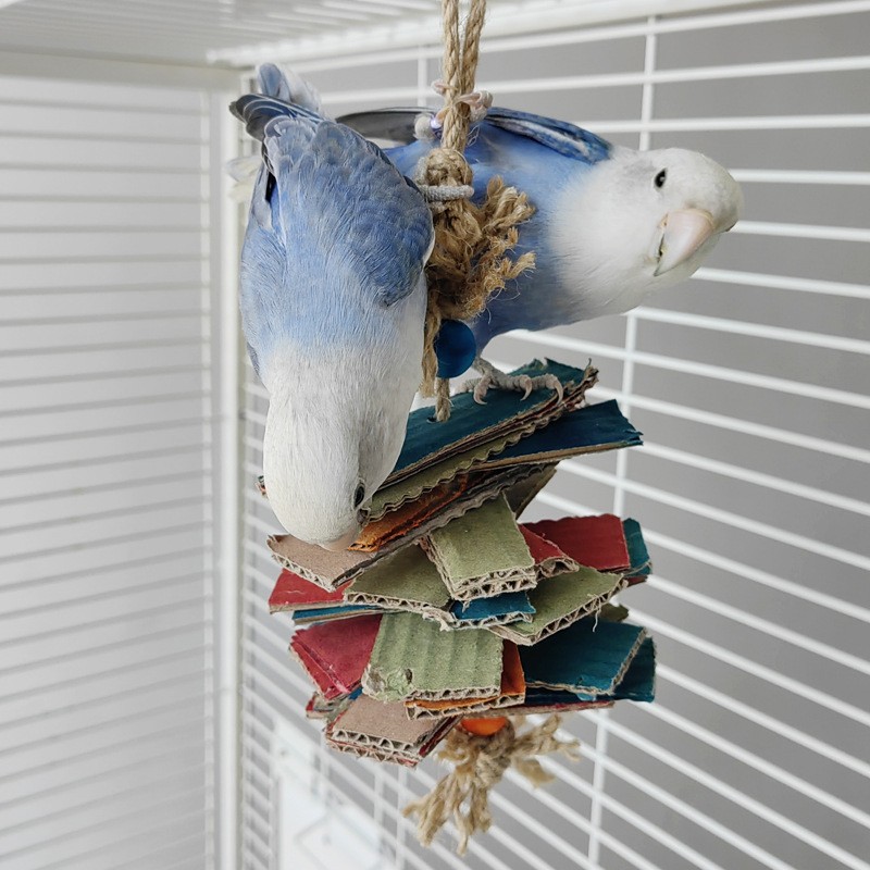 Chew Leaf Toys Manufacturer - Paper Hanging Strings