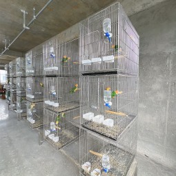 鸟孵化器供应商-不锈钢折叠