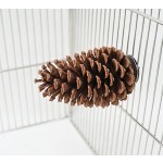 鸟笼玩具厂家-多功能咬胶保健