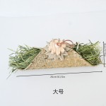 提摩西草卷厂家-啃咬磨牙