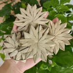 棕榈叶玩具供应商-手工编织花