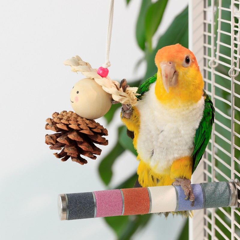 Pinecone Chew Toys Manufacturer - Rubber Cotton Wood