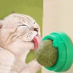 猫薄荷宠物球供应商-互动洁齿