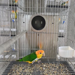 Vertical Breeding Boxes Factory - Warm Hanging