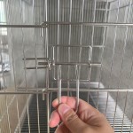 鸟孵化器供应商-不锈钢折叠