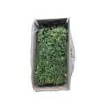 有机干草厂家-苜蓿兔仓鼠用