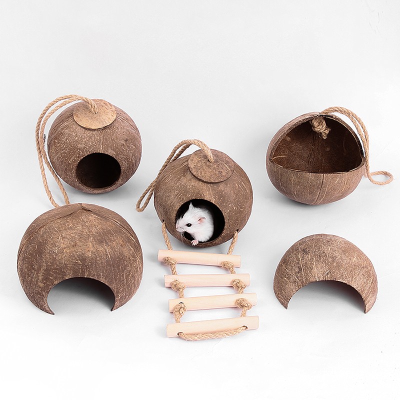 Coconut Shell Houses Supplier - Natural Hut Hideout