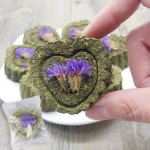 小动物食品厂家-仓鼠磨牙饼