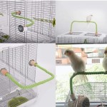 双头站架厂家-耐用秋千玩具