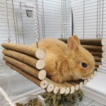 木质秋千厂家-吊床隧道套装