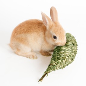 Rabbit Chew Toys Factory - Grass Bite-resistant