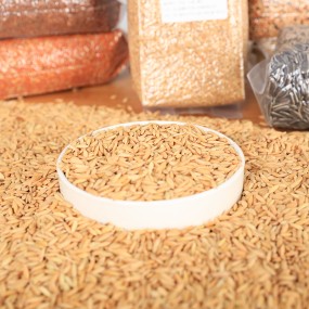 Bird Seed Supplier - Wholesale Pigeon Seeds