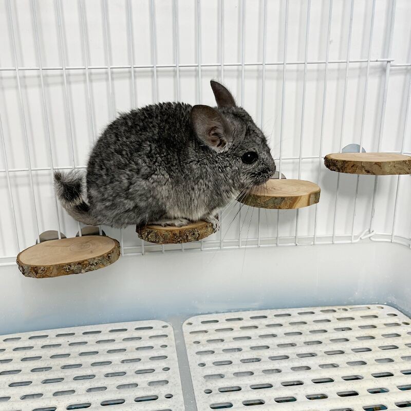 Wood Ladders Manufacturer - Totoro Apple Wood