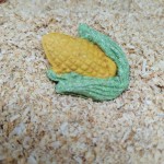 提摩西胡萝卜玩具供应商-天然健康食品